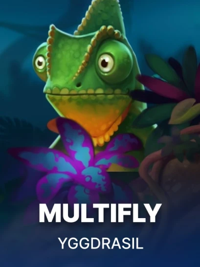 Multifly!