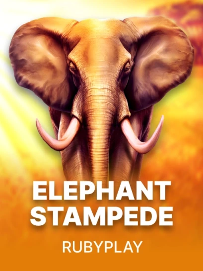 Elephant Stampede